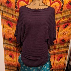 Size XL Purple Butterfly Sleeve Knit Sweater / Dress; Susan Lawrence; Bateau